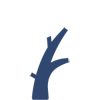 Transport médicalisé